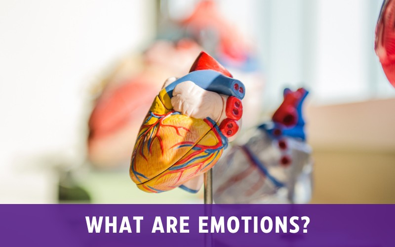 The Anatomy of Emotions